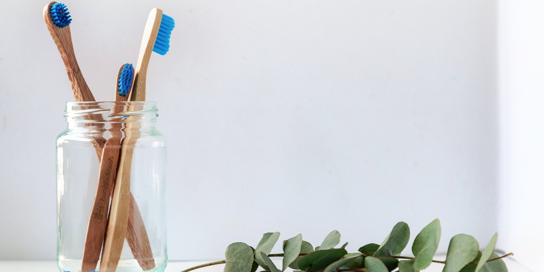 The Relationship Between Toothbrush Head Longevity and Oral Health